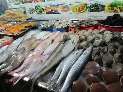 水產魚類市場價格與行業動態深度解析